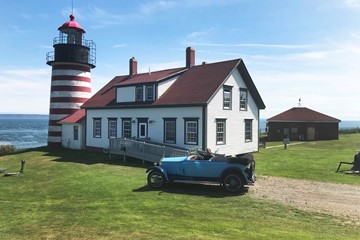 GF15 White Bluebelle At West Quoddy Lighthouse