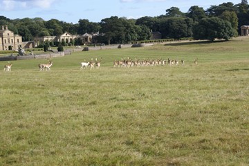 001 Holkham Hall